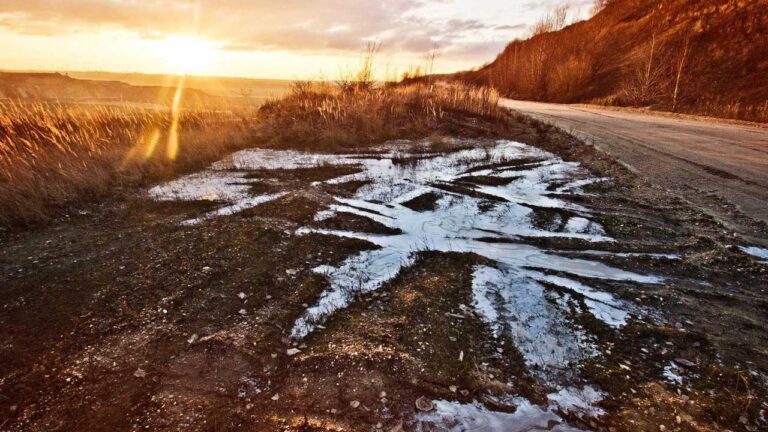 How To Check Cricbet99 Live Score Updates?